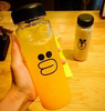 Garrafa Fruit Water Bottle Infuser (500ml)